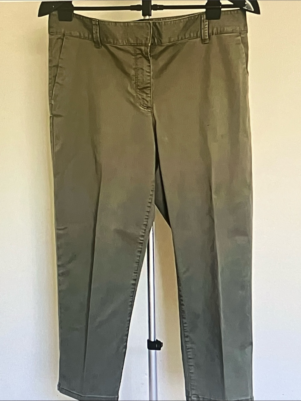 Ann Taylor Olive Straight-Leg Capris
